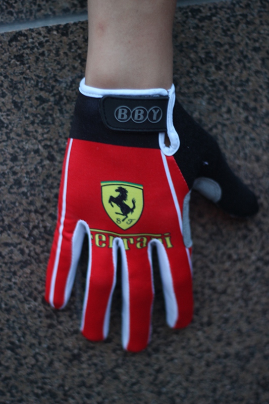 Hundschuhe Ferrari 2017